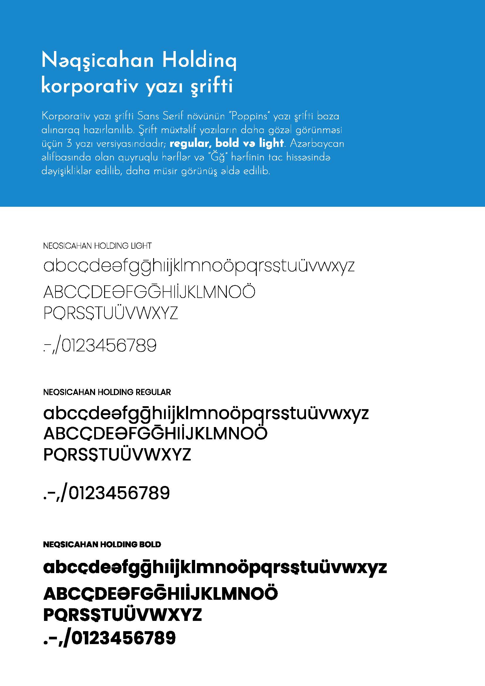 Neqsicahan Holding — example 13